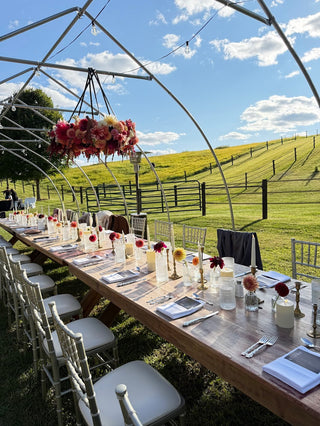 Dinner In The Dahlias