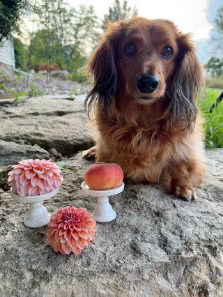 Peaches N' Cream