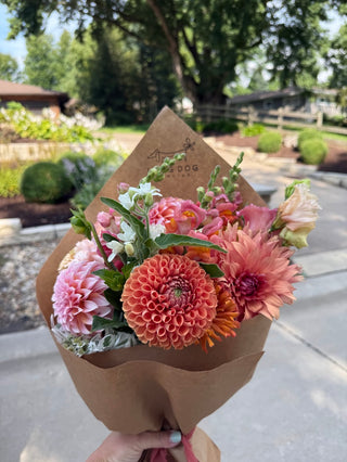 Dahlia Flower Share