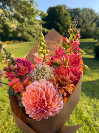 Dahlia Flower Share