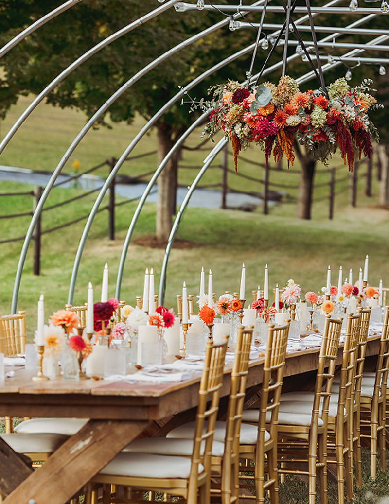 Dinner in the Dahlias