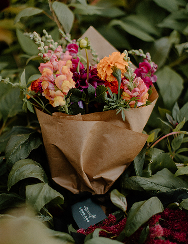 North Scott  Farmer’s Market