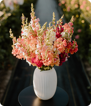 Bouquet images 2