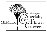 Flower Garden