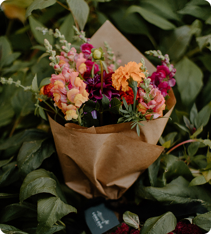 North Scott  Farmer’s Market