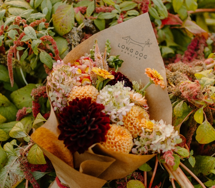 Flower Garden