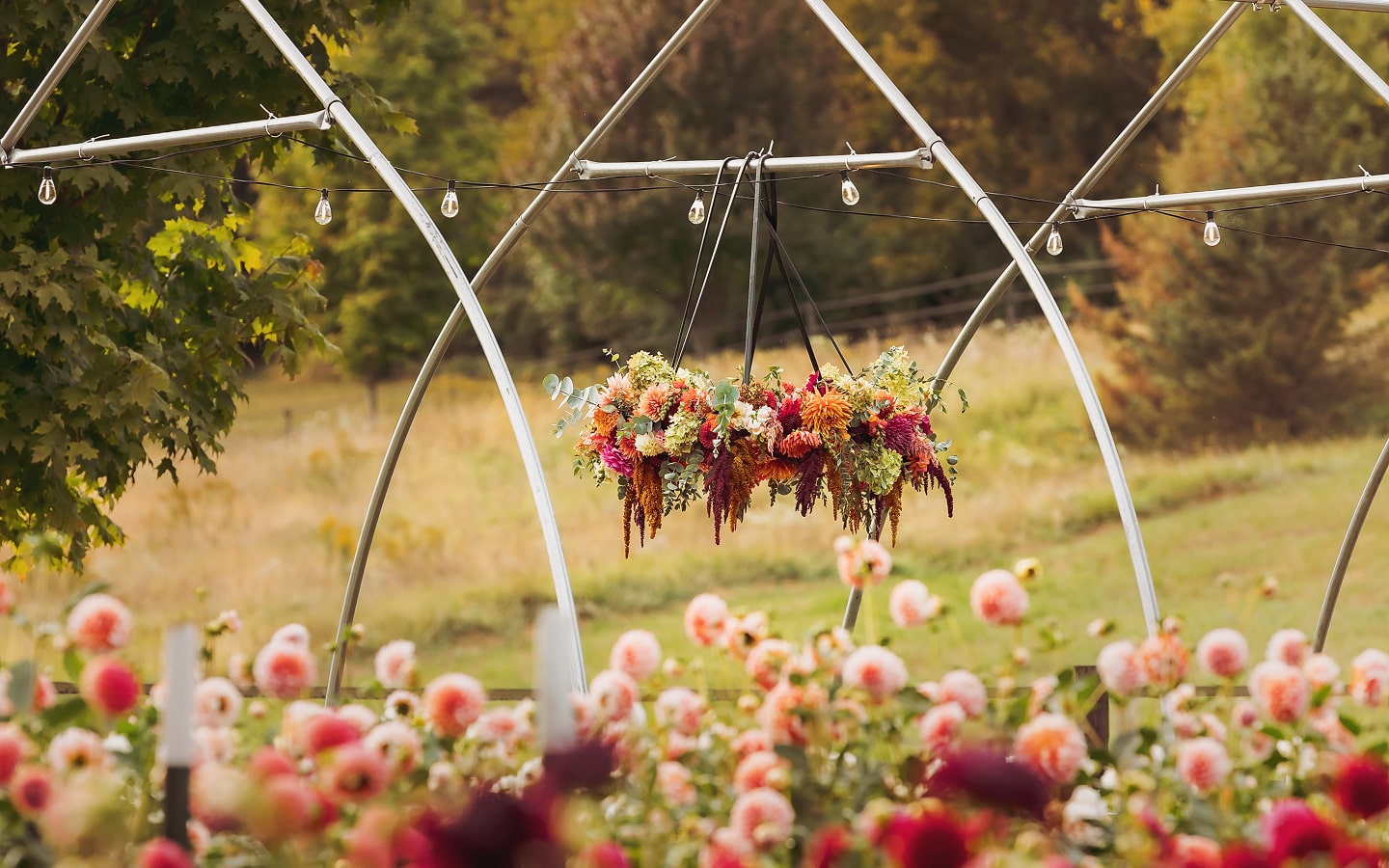 Flower Garden