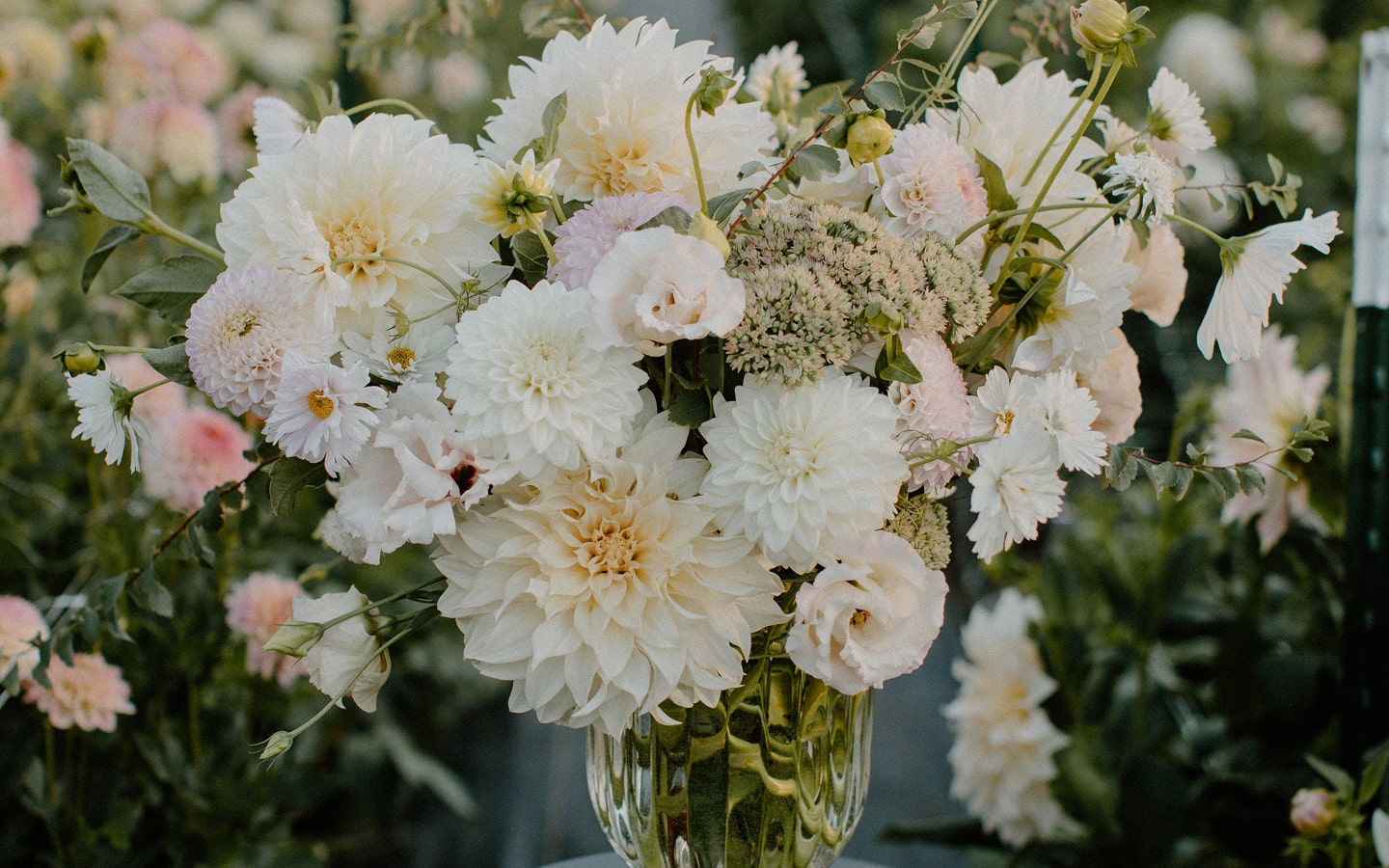 Flower Garden