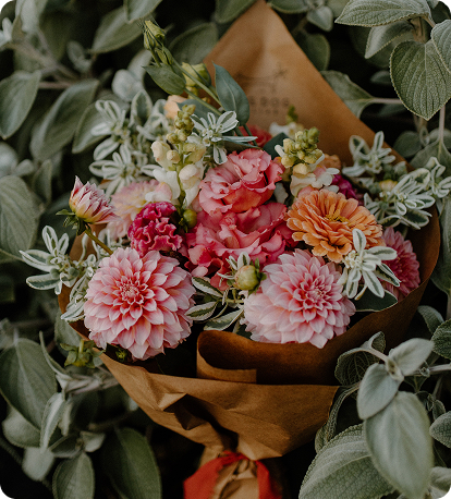 Iowa City  Farmer’s Market