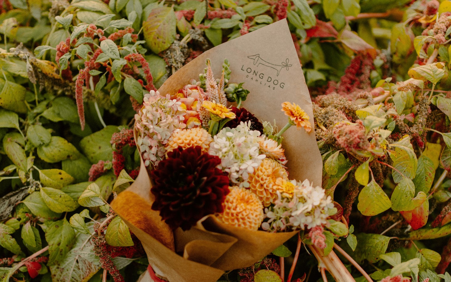 Flower Garden